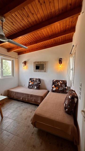 Angel House Country house Drosia (Central Greece)